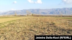 “Unë jam i falimentuar edhe nëse e punoj, edhe nëse nuk e punoj tokën”