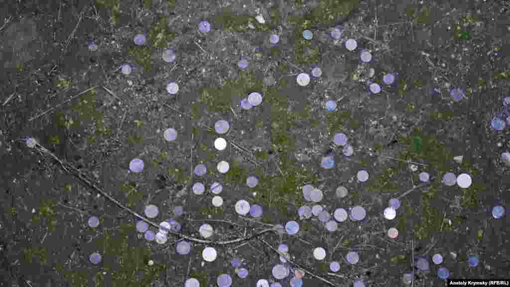 У зернову яму туристи кидають монети. Серед них чимало українських п&#39;ятикопійчаних монет