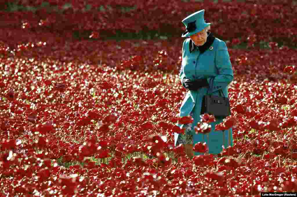 Erzsébet brit királynő a &quot;Blood Swept Lands and Seas of Red&quot; című művészeti installáció részét képező kerámia pipacsok mezején sétál a londoni Towerben, 2014. október 16-án