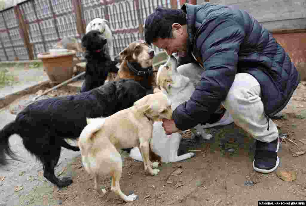 Az&nbsp;Instagramján, ahol már több mint háromszázezer követője van, rendszeresen beszámol az állatmentésről és arról, milyen szörnyű helyzetben talál az állatokra és olykor a gazdáikra is