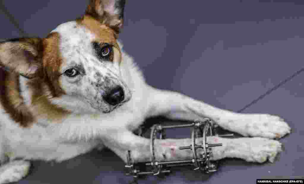 Jack lábát szétroncsolta egy lövés, de most már gyógyulófélben van