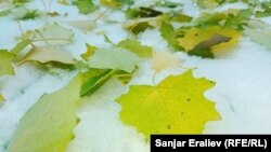 Autumn snow in Kyrgyzstan, weather