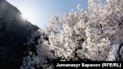 Кыргызстан