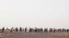 Contrabandiștii îi conduc pe migranții etiopieni pein Obock, Djibouti, către granița cu Arabia Saudită
