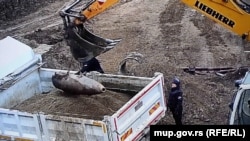 Uklanjanje avio-bombe, Niš, Srbija, 21. aprila 2024.