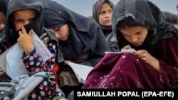 Иллюстративное фото