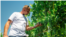 Moldova: Vineyard, farmer from Cahul, digital farming