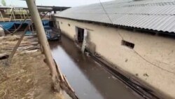 Жалал-Абадда, Аксыда үйлөрдү суу каптады