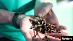 Илустрација 