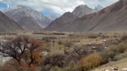 Электр жарыгы жок, илбирси көп Зардалы