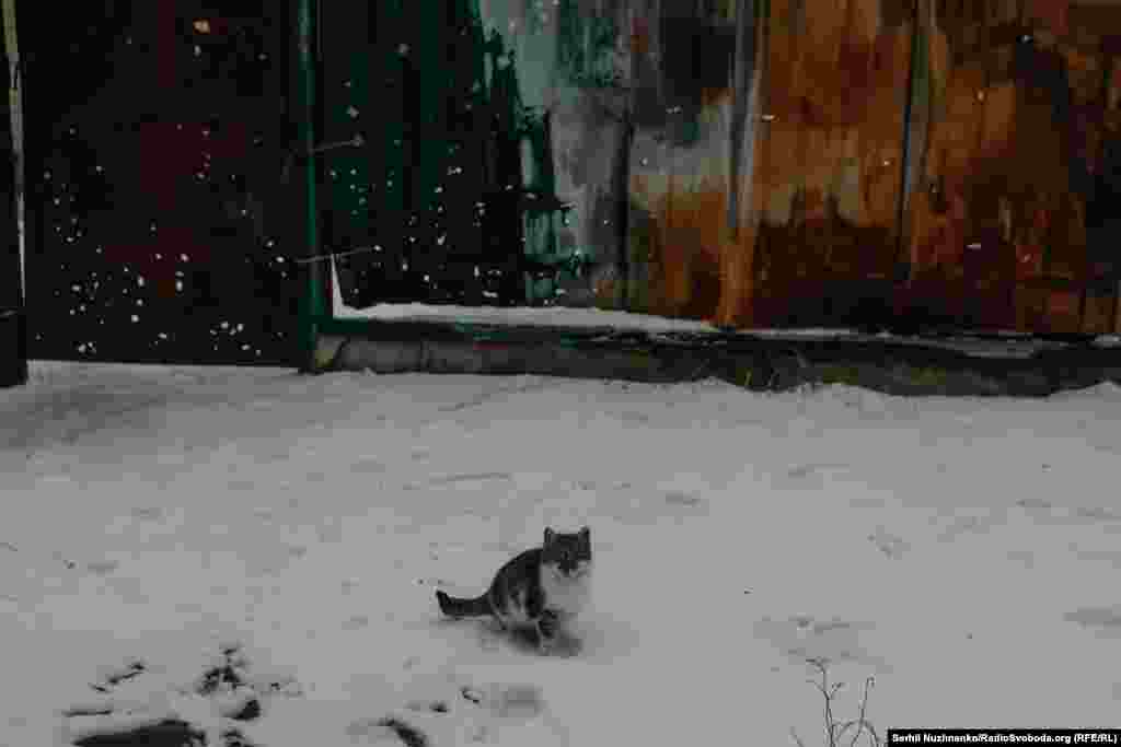 &laquo;Люди живуть у металевих вагонах, просять привезти їм дров, кругом ліс, ліс вивозять &laquo;фурами&raquo;, а місцевим не можуть дров привезти&raquo;, &ndash; скаржиться місцевий житель. &laquo;Держава нічого нікому не робить&raquo;, &ndash; каже він у розмові з нами