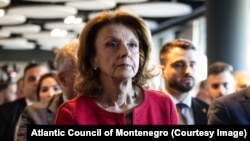 Predsjednica Atlantskog saveza Crne Gore Milica Pejanović Đurišić