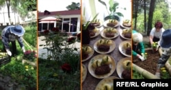 ანასეულის ხანდაზმულთა სახლი