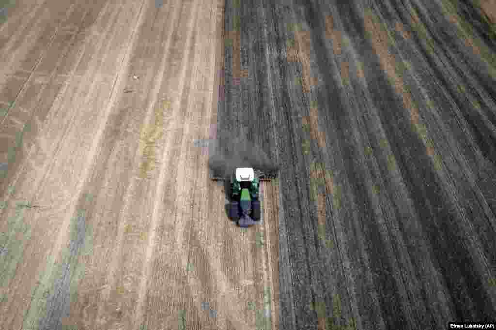 Зерно було основним джерелом доходу ферми, і продукція Віктора Цвика дійшла аж до Індії та бідних країн Північної Африки, каже фермер. Оскільки зараз єдиним варіантом збуту зерна є дорожчі автомобільні, залізничні та річкові маршрути через Європу, його зерно, швидше за все, залишиться на складах. А це величезні збитки.