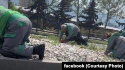 "ეკოსერვისის" თანამშრომლები თეთრი ქვების ბალახისგან გაწმენდას ცდილობენ, მაისის დასაწყისი, 2023