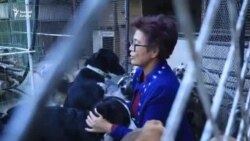 A nehéz körülmények ellenére csaknem száz kóbor kutyáról gondoskodik egy üzbég nő