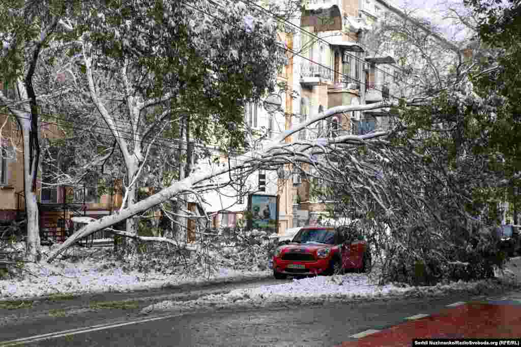Засніжена Одеса після негоди