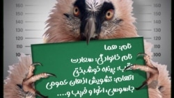 ایستگاه فردا: به دام نیفتی هما