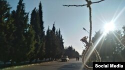 عکس مربوط به اقدام اعتراضی دانشجویان ایرانی به اعدام است