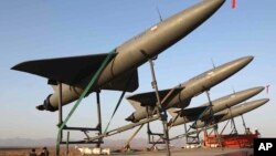 نیروی هوافضای سپاه پاسداران انقلاب اسلامی و سازمان تحقیقات و جهاد خودکفایی نیروی زمینی سپاه پاسداران نیز در فهرست سیاه اتحادیه اروپا قرار گرفتند