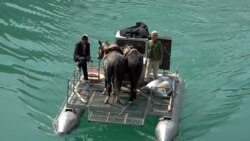 Нарын дарыясынан кайык менен өткөндөр