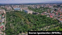 Бишкектеги Горкий көчөсүндө жайгашкан Ботаникалык бактын дендрарий коругу.