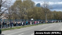 Сербиянын борбору Белград. Орусиянын президентин шайлоо. Добушканага кезек күткөндөр. 2024-жылдын 17-марты. 