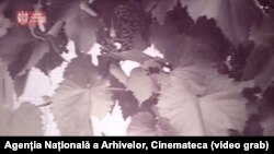 Fotografie simbol. Sursa: Agenția Națională a Arhivelor, Cinemateca