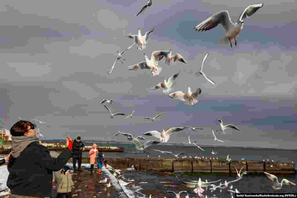 Дехто годує чайок&nbsp;