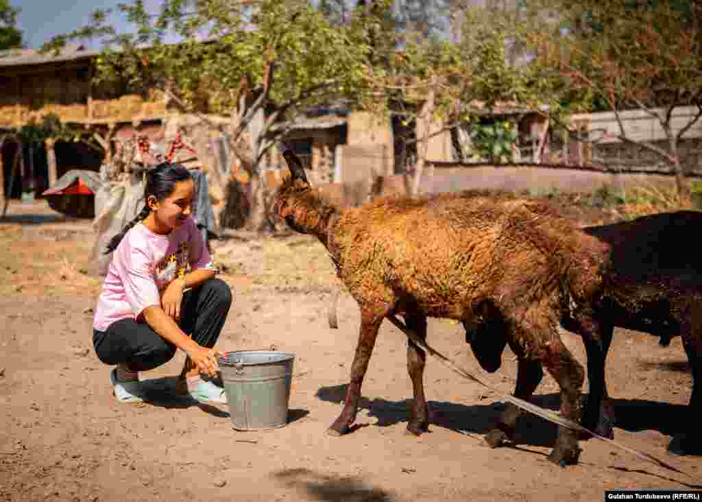 Kako je najstarija kćerka u kući, Asema svakodnevno mora da kosi&nbsp;travu, brine o stoci i obavlja muške poslove.