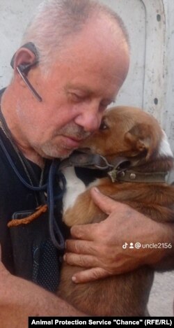 Евакуація з Преображенки. (Пологівський район). Песик жив пів року сам, с початком повномасштабної війни господарі його покинули