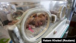 Аш-Шифадан эвакуацияланган ара төрөлгөн ымыркайлар 