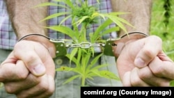 Иллюстративное фото