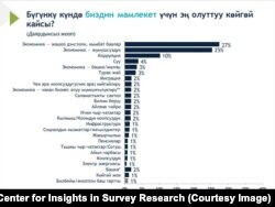 "Эл аралык республикалык институттун" сурамжылоолору: эң олуттуу көйгөйлөр