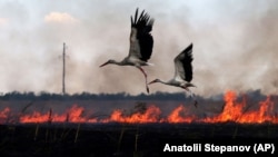 Пожар в украинска нива в района на Миколаев, Южна Украйна. Снимката е от 4 юли