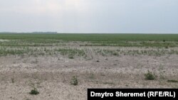 Вид на землі, де раніше було Каховське водосховище, Запорізька область, Україна, серпень 2023 року