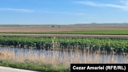 Ofițeri români căutând resturile unei/or drone într-un perimetru la 12 km de Brăila, în vara lui 2023. Ulterior, șeful Marelui Stat Major a declarat că dronele străine nu pot fi doborâte în aer întrucât legea permite asta doar pentru țările cu care România se află în război.