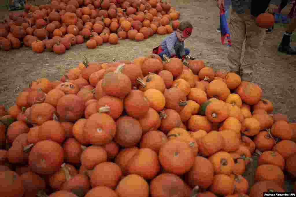 Dete se igra pored gomile bundeva. Organizatori su donijeli 18,5 tona bundeva i više od 2.300 bala sijena, zajedno sa ukrasima poznatog rumunskog cvjetnog dizajnera Nicua Bocancea.