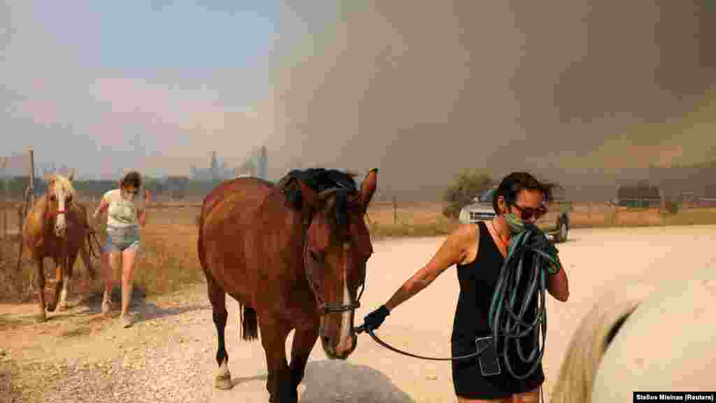 Lovakat menekítenek ki a Kuvarasz-közeli Kalívia faluban 2023. július 17-én. A tűz a fővárostól mintegy negyven kilométerre délkeletre fekvő Kuvaraszban tört ki hétfőn