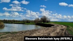 "Азаттык" кыргыз-казак чек арасын бойлой аккан Чүй дарыясынын сол жээги желип, гектарлаган жер казак тарапта калган жагдайды иликтеп чыккан.