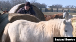 Czinkóczky Csaba, a Dharma menhely egyik tulajdonosa