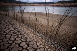 Vegetacije pri rezervoaru Sau gotovo da nema
