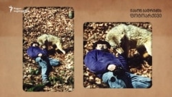 1500 საათი მგლებთან