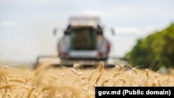 Снимката е илюстративна.