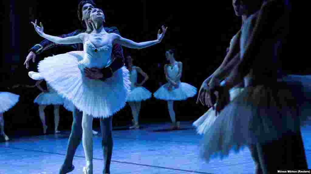 &bdquo;Aștept ziua în care să pot dansa din nou pe scena de la Kiev, dar, deocamdată, am un contract aici.&rdquo;