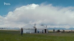 "Эртеден кечке тыным жок". Жайлоодогу бир күн