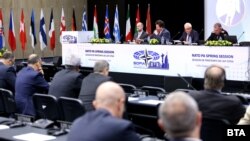 Detalj sa diskusija u okviru prolećnog zasedanja Parlamentarne skupštine NATO u Sofiji, maj 2024.