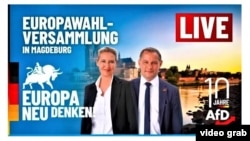 AfD, program pentru europarlamentare (screenshot: AfD)