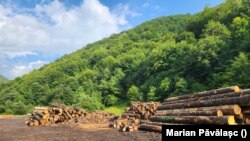 Exploatație forestieră din județul Maramureș. Fotografie generică.