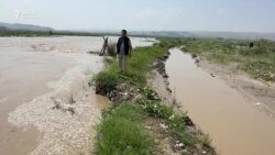 Кара-Дарыя кирип жээктеги шалыны суу жууп кетти